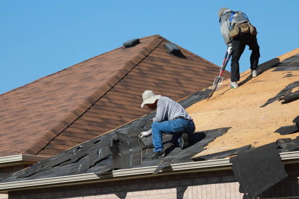 Best Metal Roofing Installation  in Harvest, AL